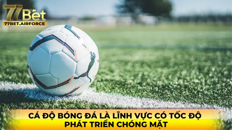 Cá độ bóng đá là lĩnh vực có tốc độ phát triển chóng mặt